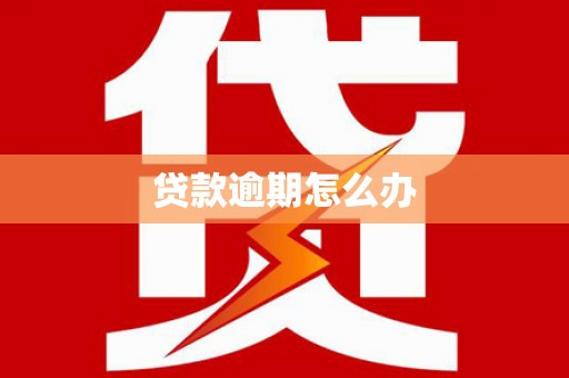 龙游贷款逾期怎么办