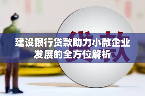 疏勒建设银行贷款助力小微企业发展的全方位解析