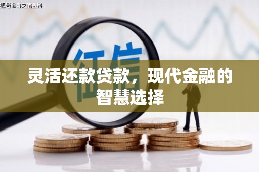 赵县灵活还款贷款，现代金融的智慧选择