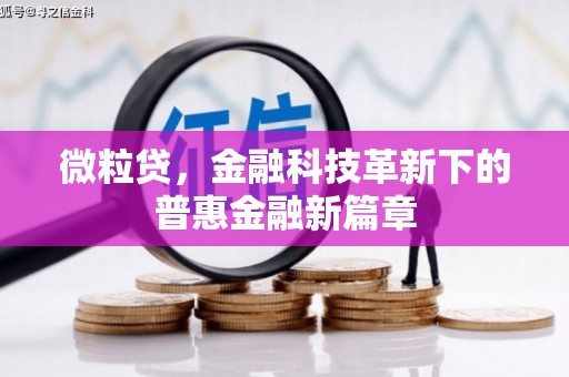 宁海微粒贷，金融科技革新下的普惠金融新篇章
