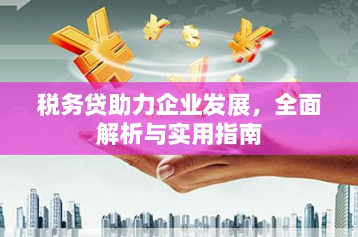 官田税务贷助力企业发展，全面解析与实用指南