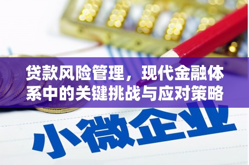 耀州贷款风险管理，现代金融体系中的关键挑战与应对策略