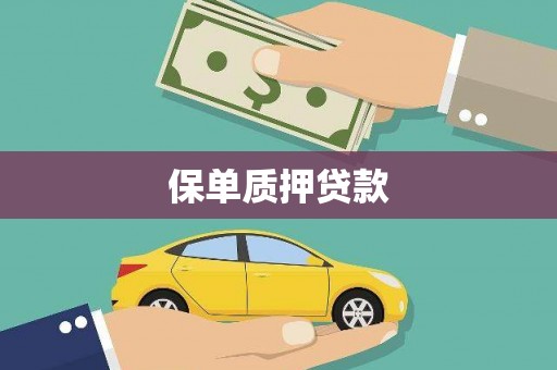 定西保单质押贷款