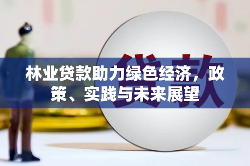 灵川林业贷款助力绿色经济，政策、实践与未来展望