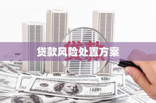 石城贷款风险处置方案