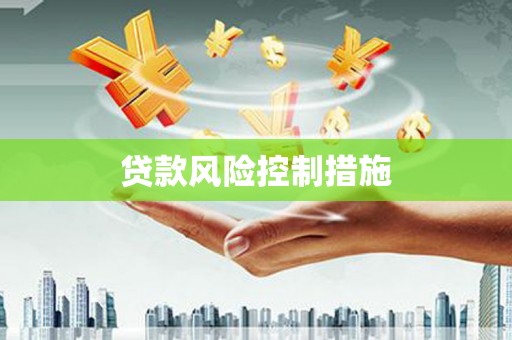 曲水贷款风险控制措施