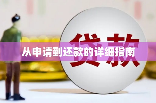 当阳从申请到还款的详细指南