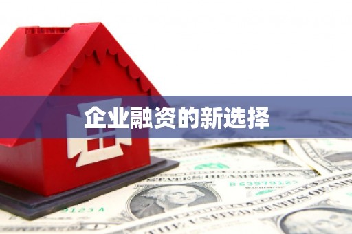 高坪企业融资的新选择