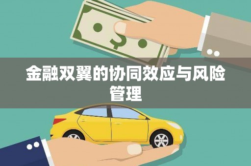 汝南金融双翼的协同效应与风险管理