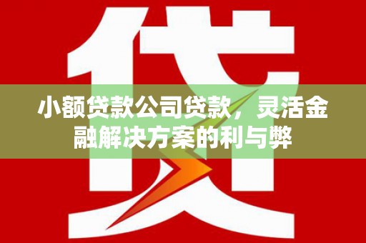 将军小额贷款公司贷款，灵活金融解决方案的利与弊