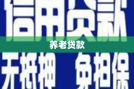 埔心养老贷款